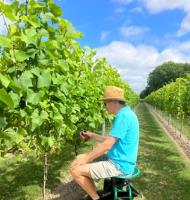 Initiatie tot wijnbouw en wijnmaken