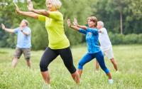 Tai Chi Bilzen beginners