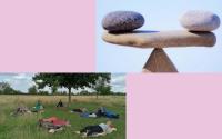 Wandelworkshop Leven in balans met hoofd/lichaam