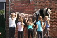 Ponykamp cowboys kerst week 2 (°2019 - °2011)