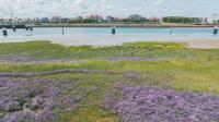 Natuurreservaat de IJzermonding- Op stap met de gids NL & FR