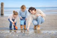 Strand- en schelpenwandeling - Op stap met de gids - NL & FR