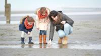 Strand- en schelpenwandeling kidsproof - Op stap met de gids - NL