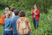 Wild van de Lente-kruidenwandeling