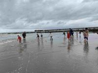 Op jacht met Gust Garnaal - Op stap met de gids - NL& FR